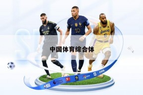 中国体育综合体